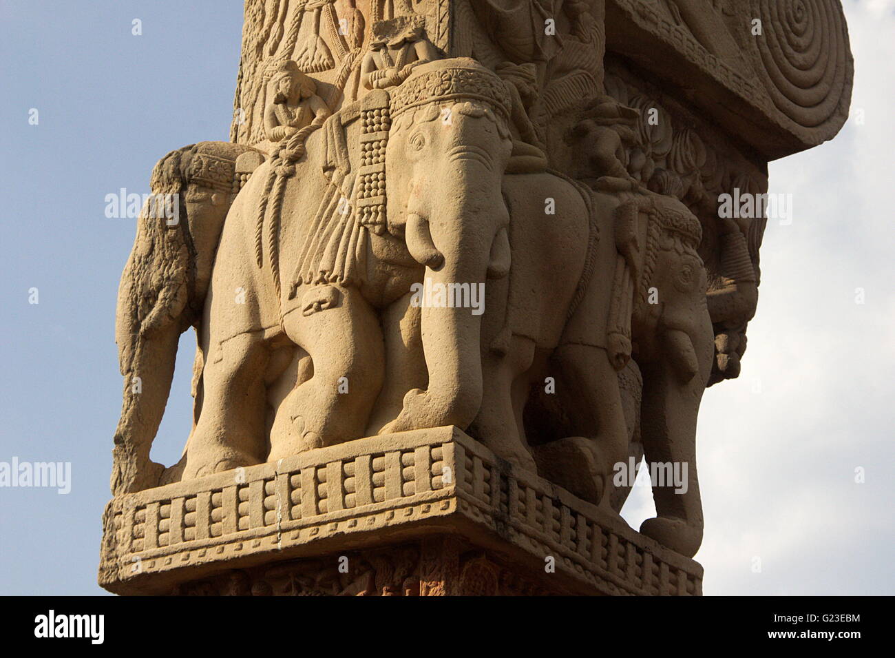 Elephants carved on stone pillar top at Stupa in Sanchi, near Bhopal, Madhya Pradesh, India, Asia Stock Photo