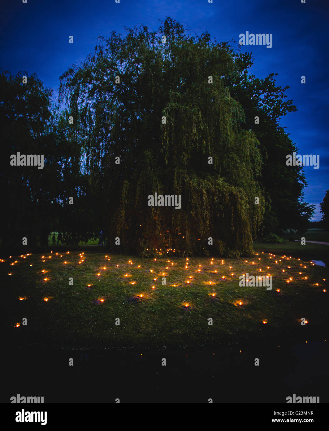 candles at night in nature Stock Photo Alamy