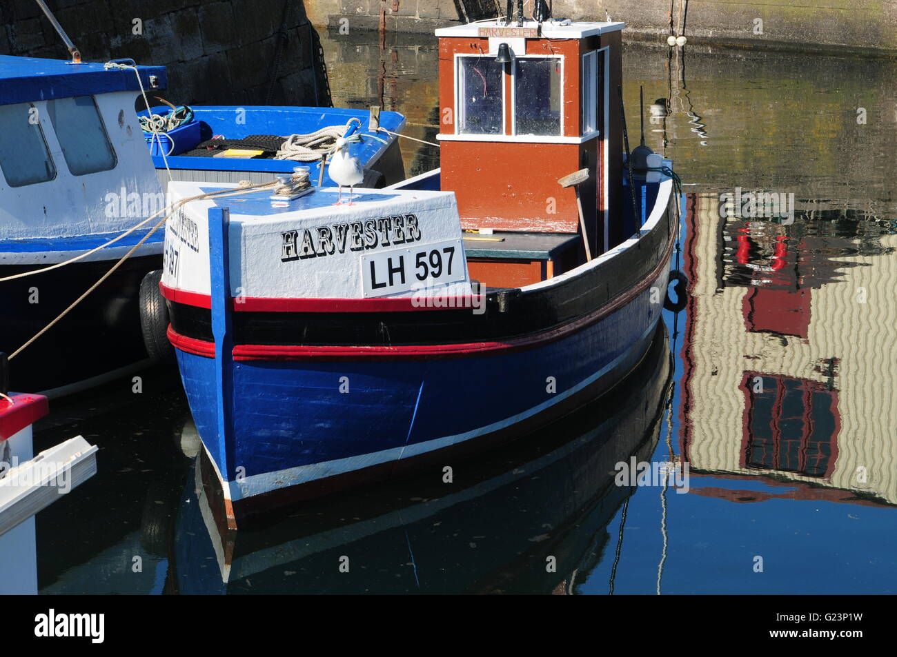 Fishing boat the Harvester St. Abbs  Harbour Scotland Stock Photo