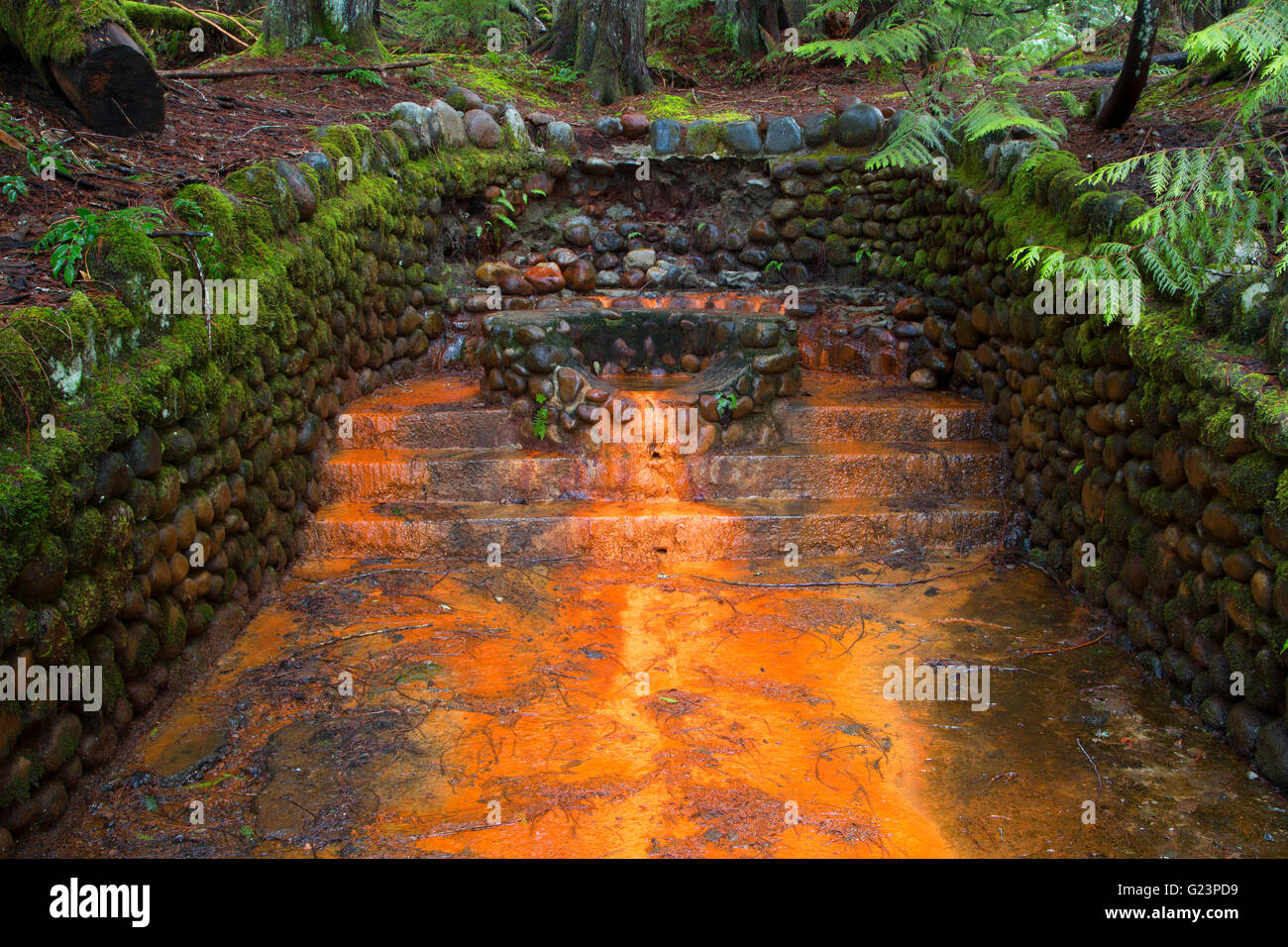 Rusty Springs along Trail of the Shadows, Mt Rainier National Park, Washington Stock Photo