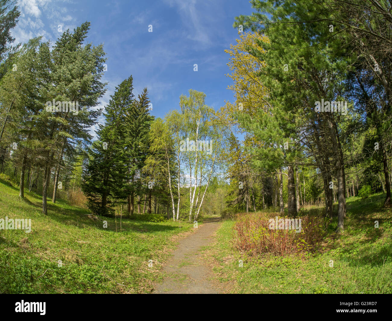 trail in Spring Park Stock Photo - Alamy
