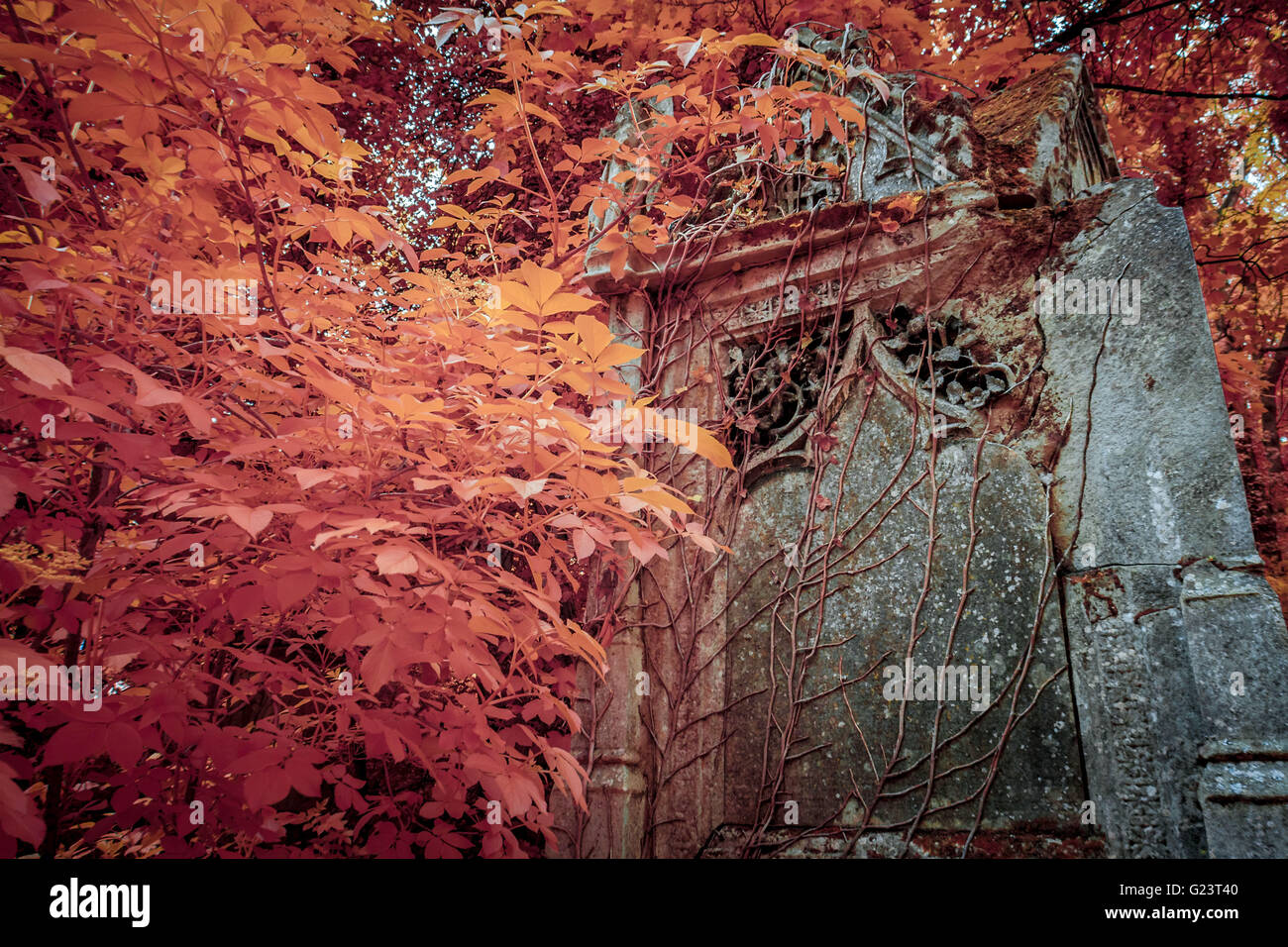 Nunhead Cemetery Annual Open Day in South East London, UK. Photographed in Infrared Stock Photo