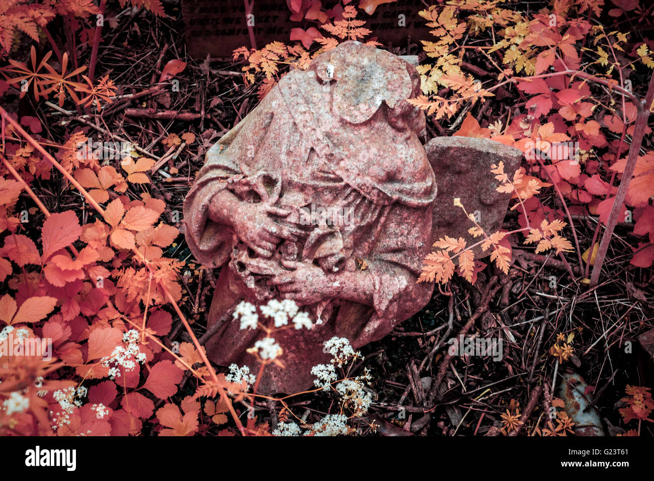 Nunhead Cemetery Annual Open Day in South East London, UK. Photographed in Infrared Stock Photo