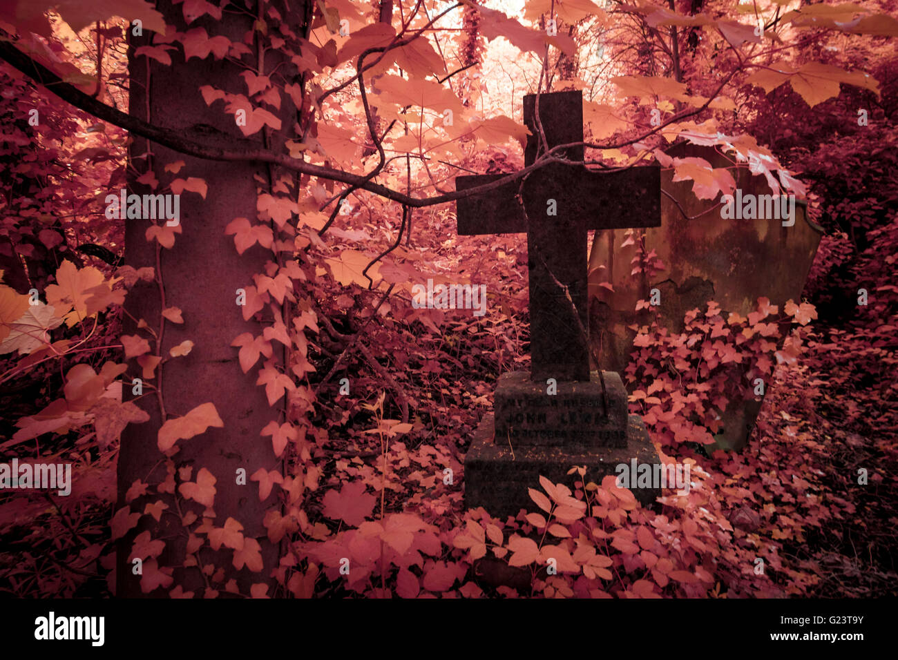 Nunhead Cemetery Annual Open Day in South East London, UK. Photographed in Infrared Stock Photo