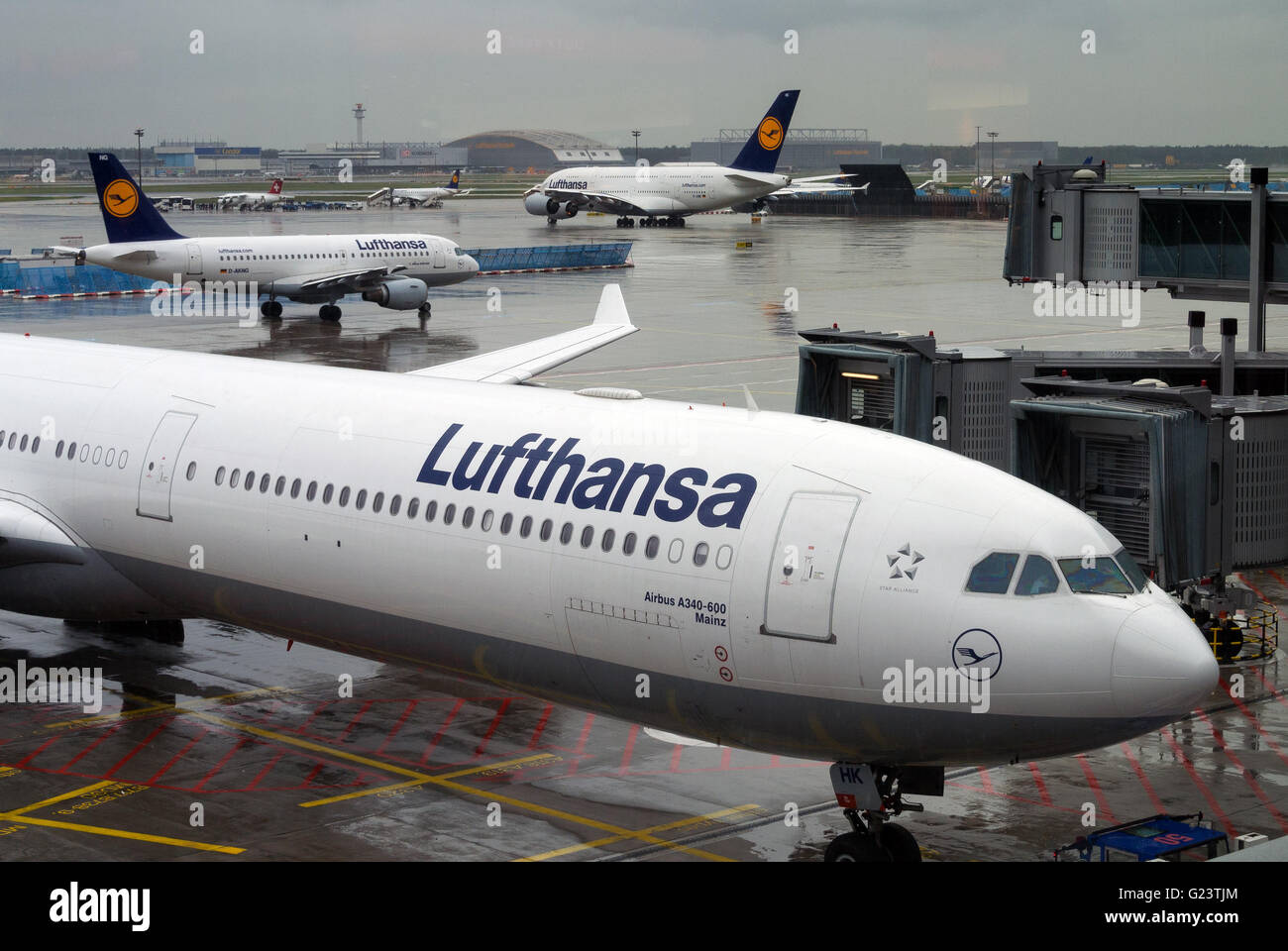 Frankfurt Airport, Germany. Flughafen Frankfurt am Main, Frankfurt