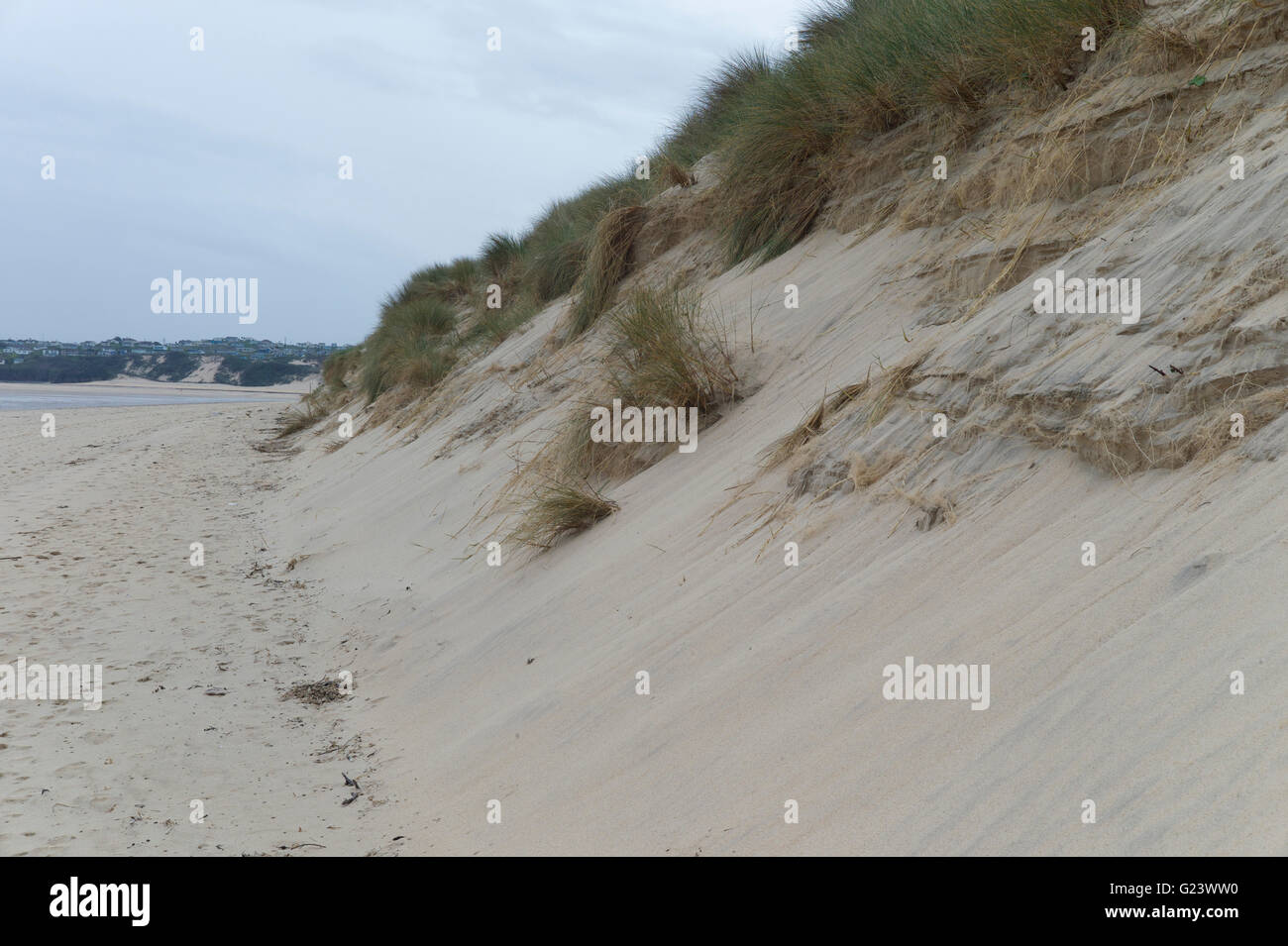 Marram grass and sand dunes to protect land from sea flooding Stock Photo