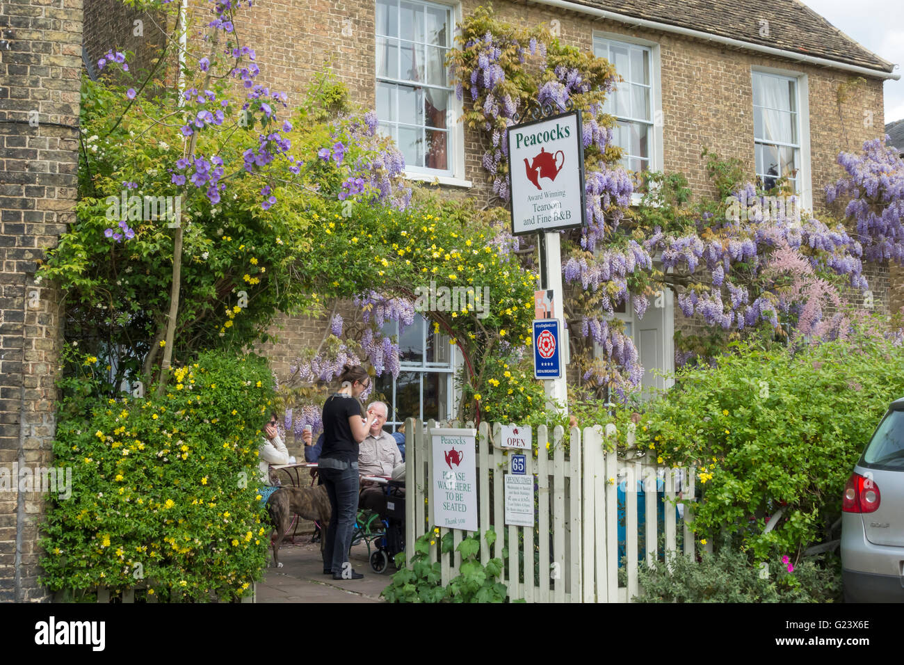 Peacocks tea room Ely Cambridgeshire England UK Stock Photo Alamy