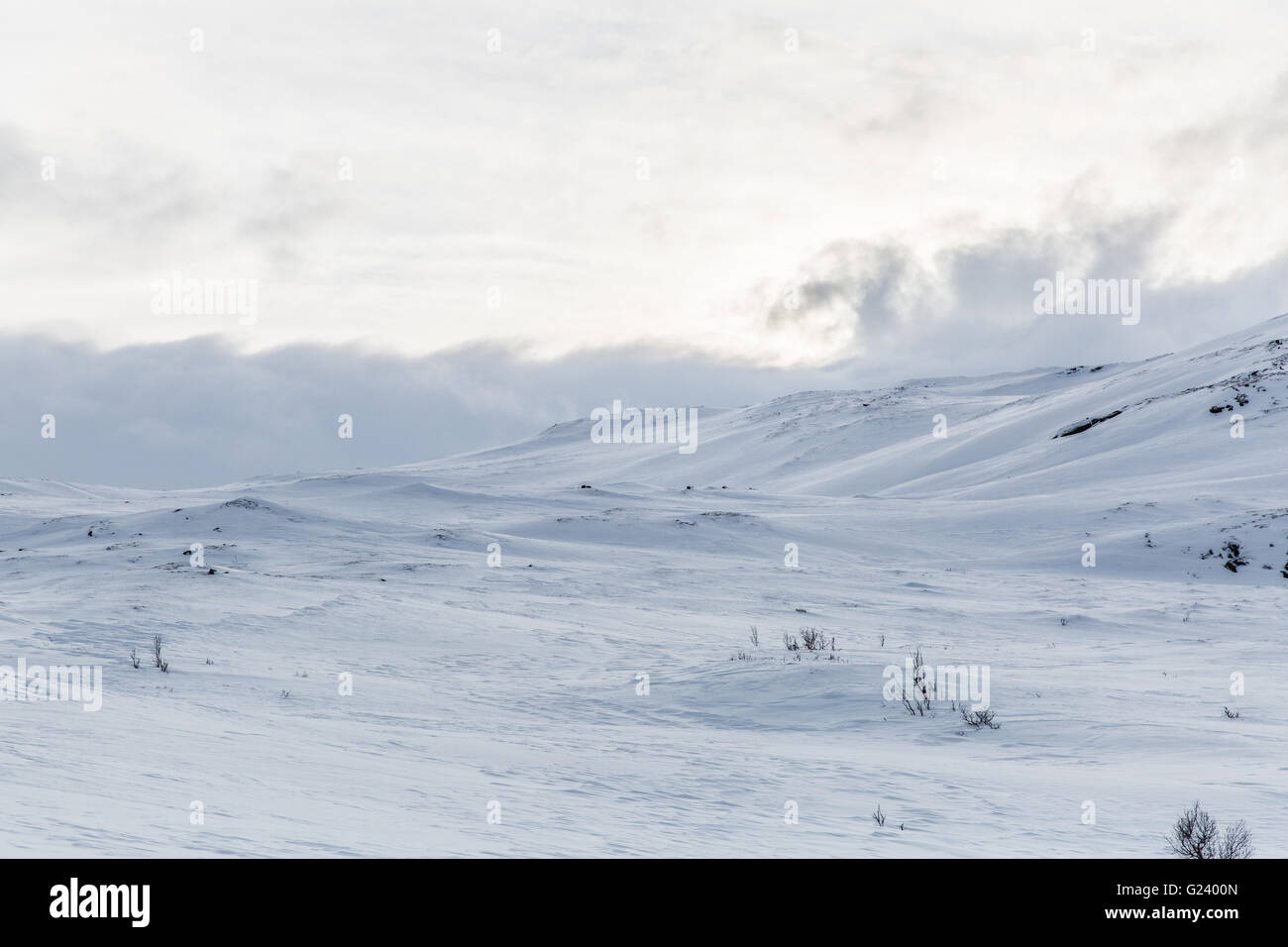 arctic landscape scene Stock Photo