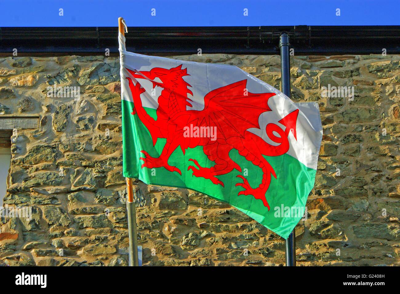 Welsh Flag - Flag of Wales, showing the Red Dragon of Wales and Red White Stock Photo