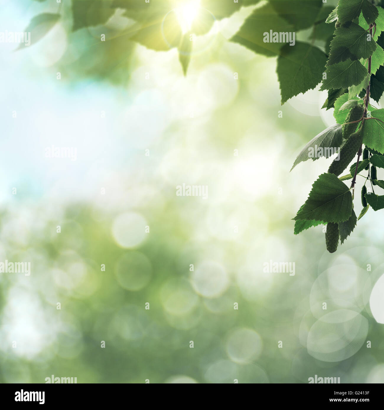 Seasonal idea hi-res stock photography and images - Alamy