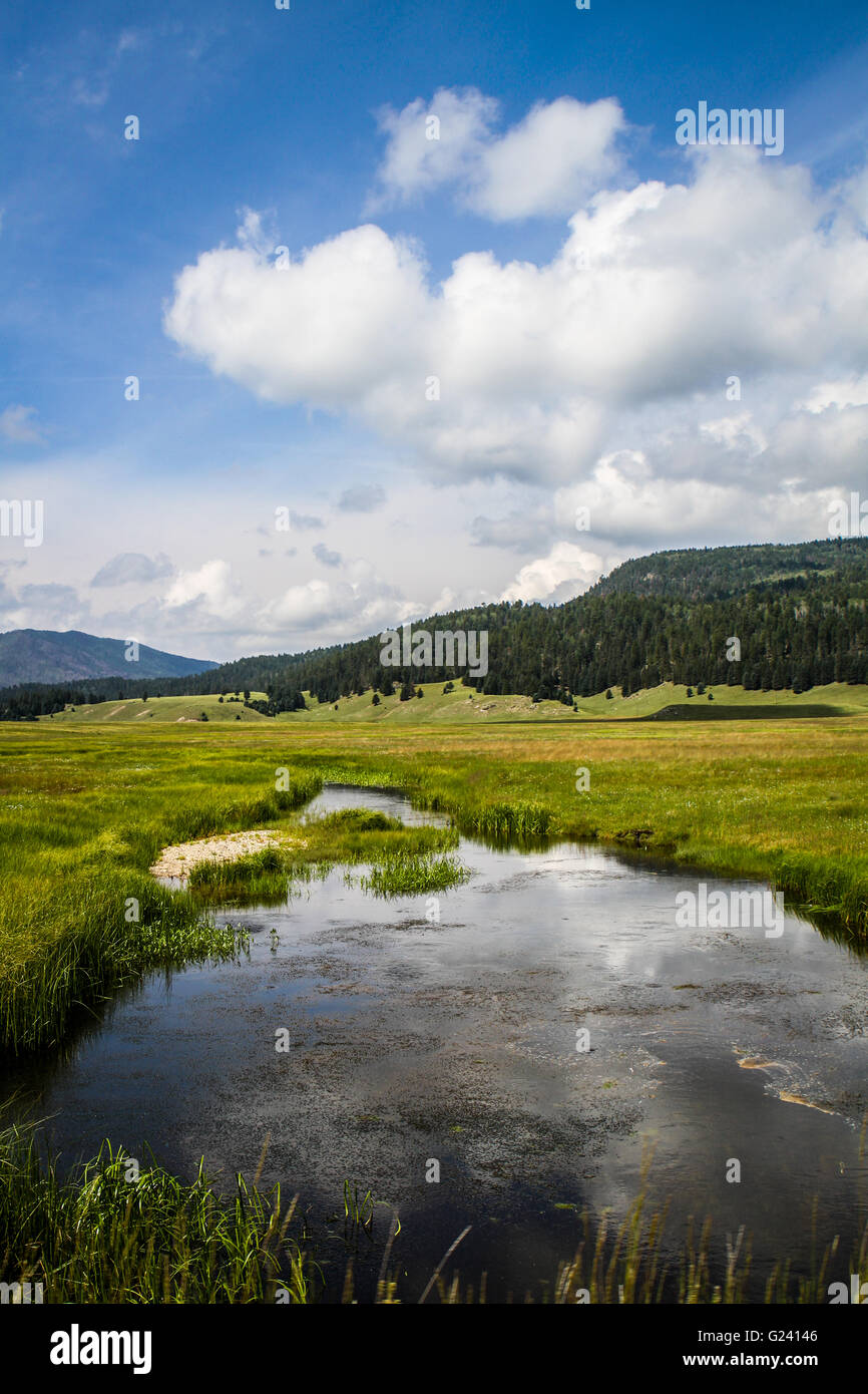 Looking over water in the valley floor of the Valles Caldera National Preserve in New Mexico Stock Photo