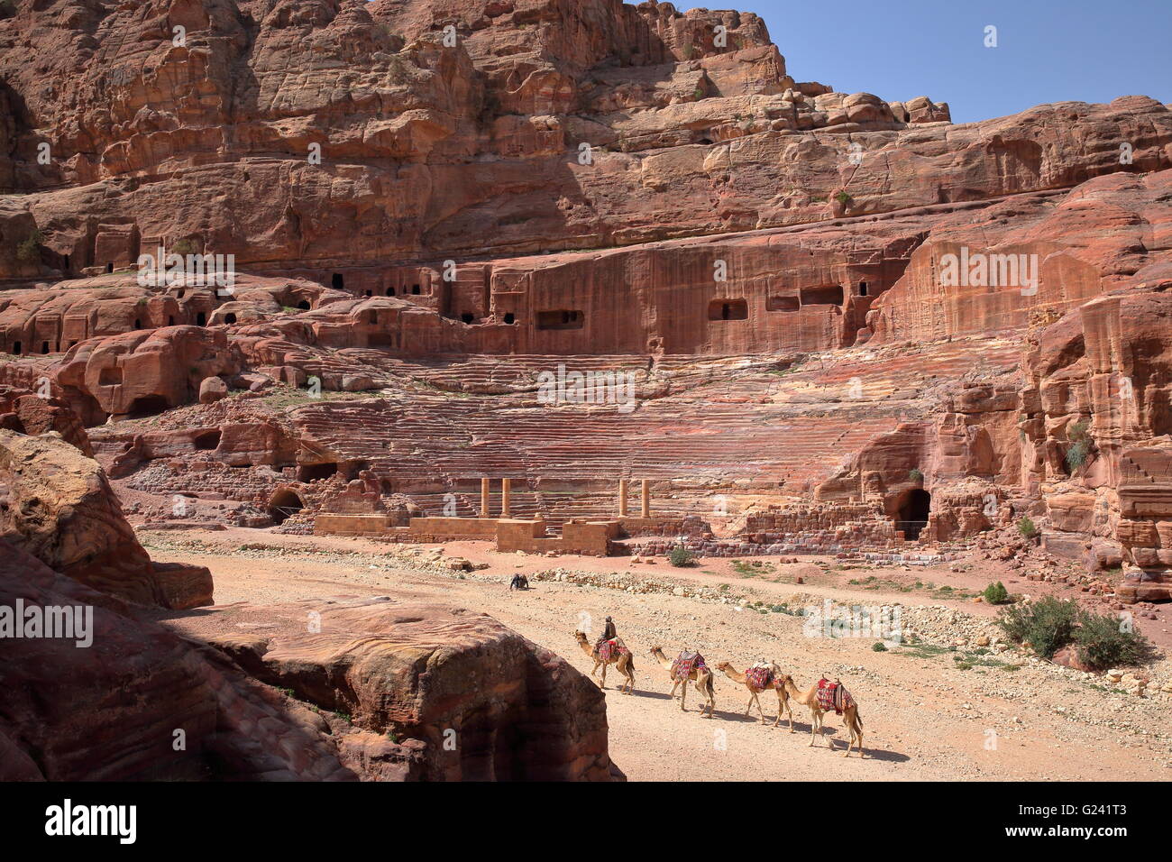 Camels along The Roman Theatre in Petra, Jordan Stock Photo