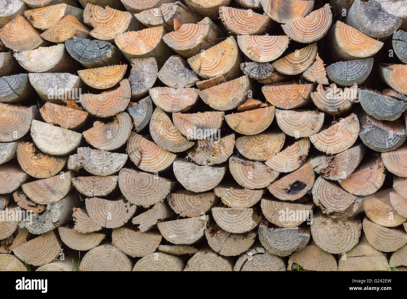 A pile of stacked firewood. Stock Photo