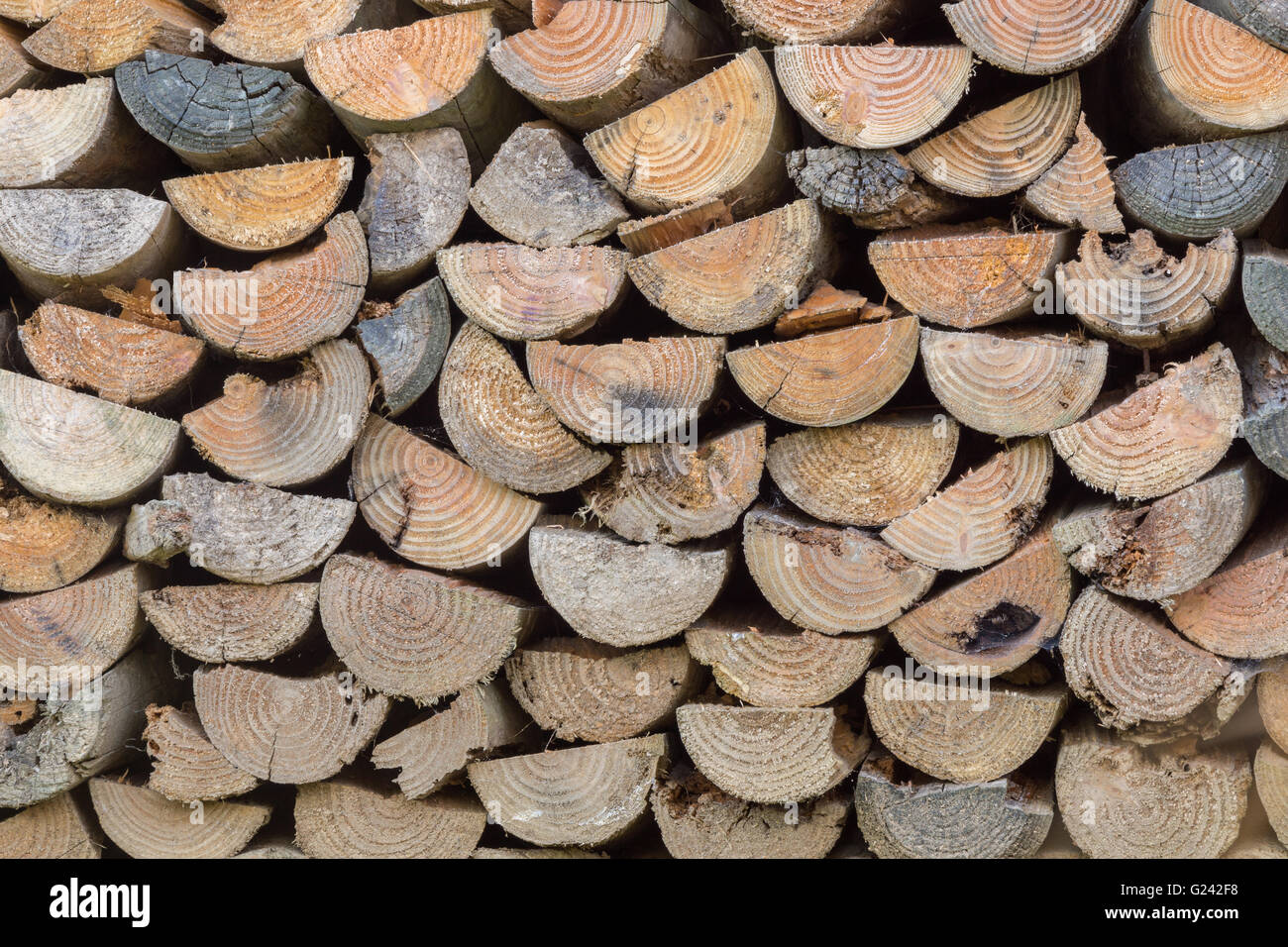 A stack of split wood. Stock Photo