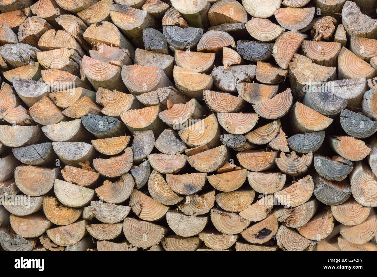 A pile of stacked firewood. Stock Photo