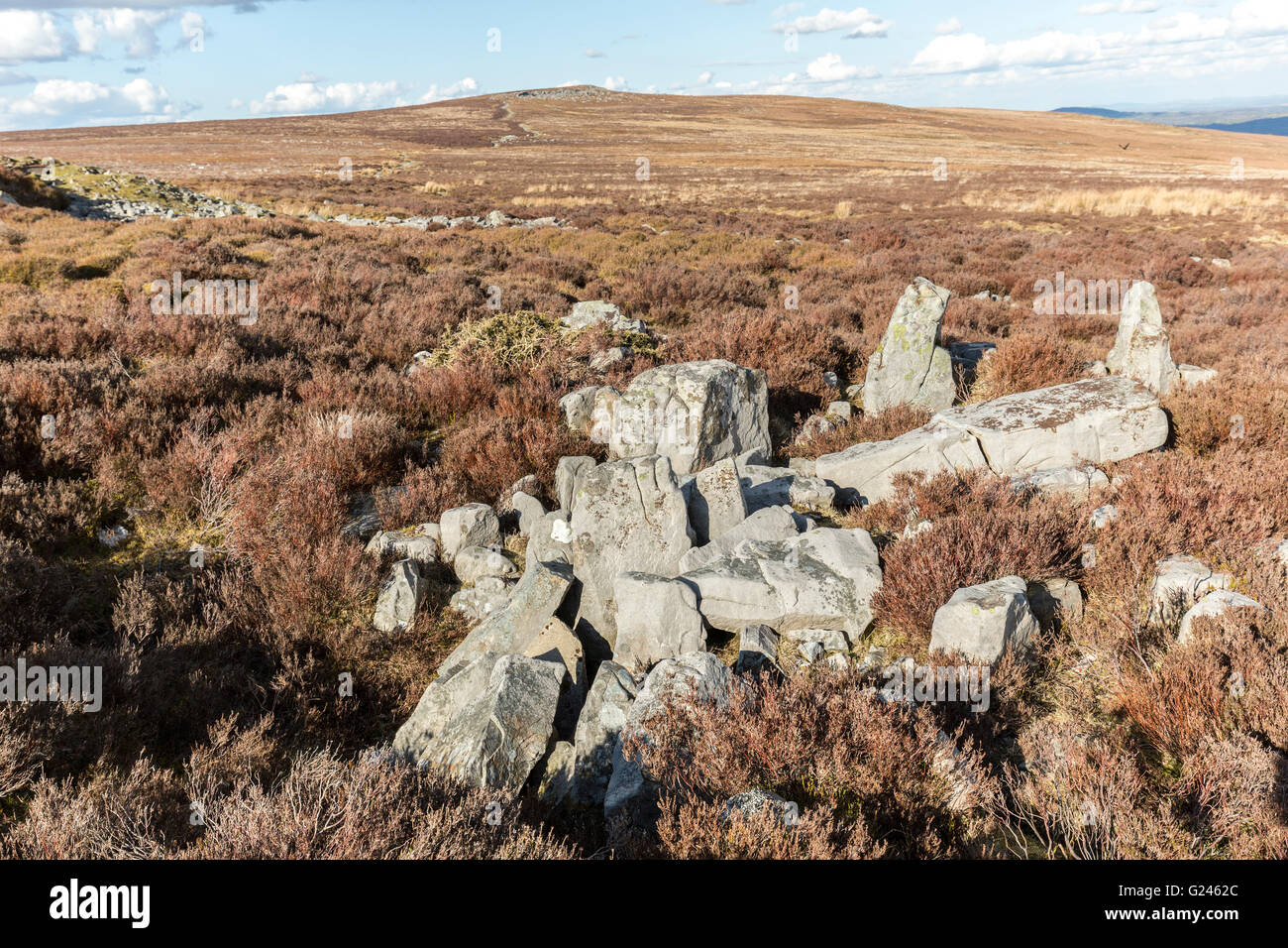 Millstone grit boulders on moorland, Blorenge, Wales, UK Stock Photo