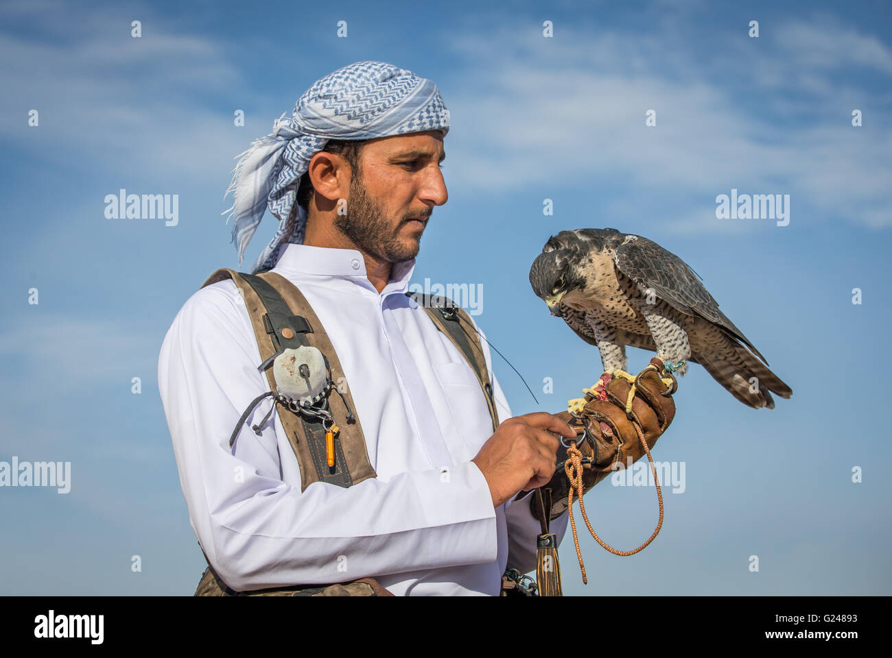 Arab eagle hi-res stock photography and images - Alamy Arab eagle hi-res stock photography and images - Alamy
