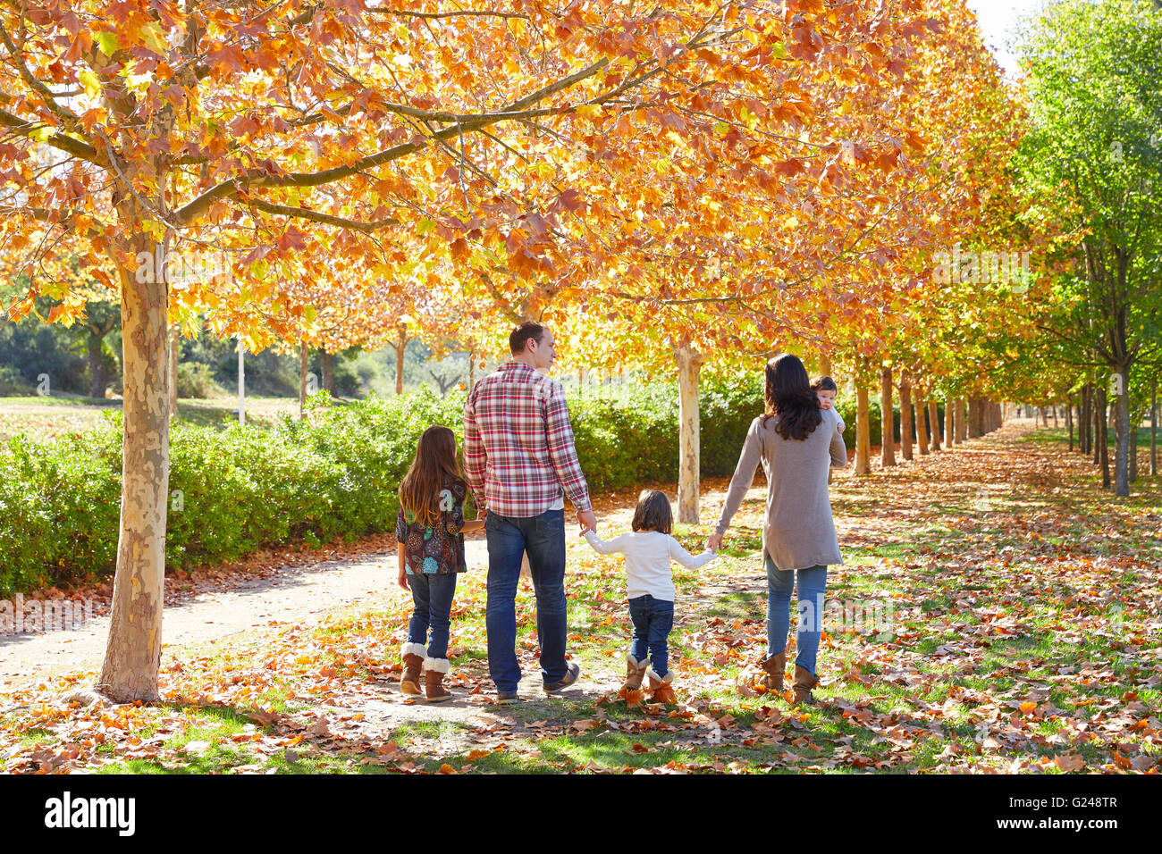 family walking in an autumn park with fallen fall leaves Stock Photo ...