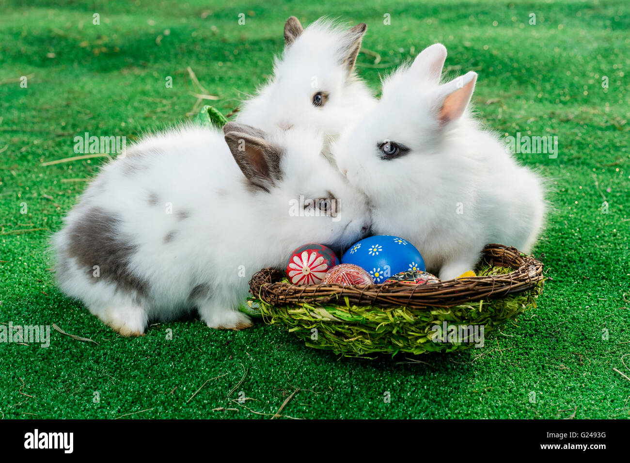 Rabbits with a basket, Easter eggs Stock Photo - Alamy