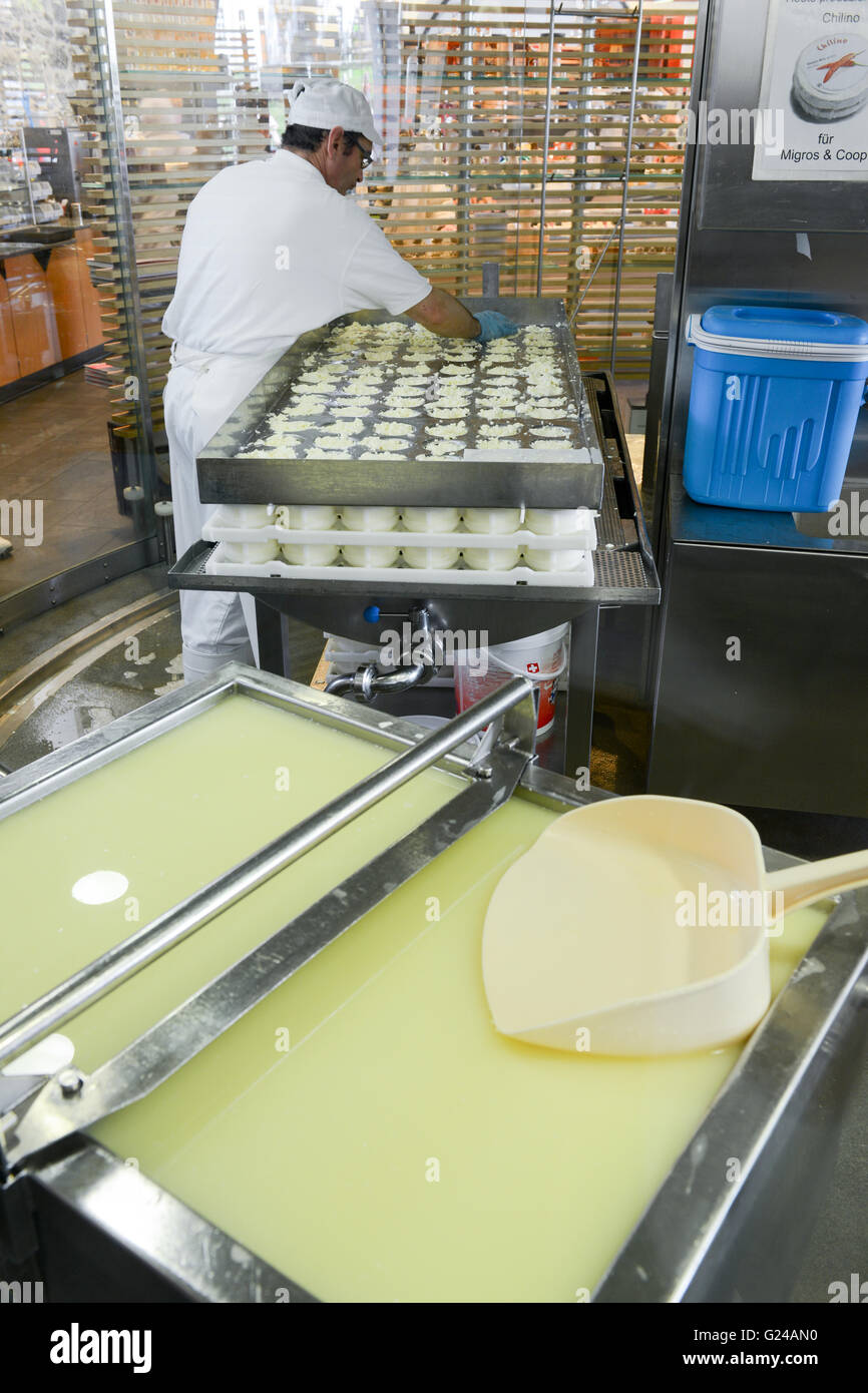 Cheese maker in a cheese dairy, Open Air Museum Ballenberg, Bern,  Switzerland Stock Photo - Alamy