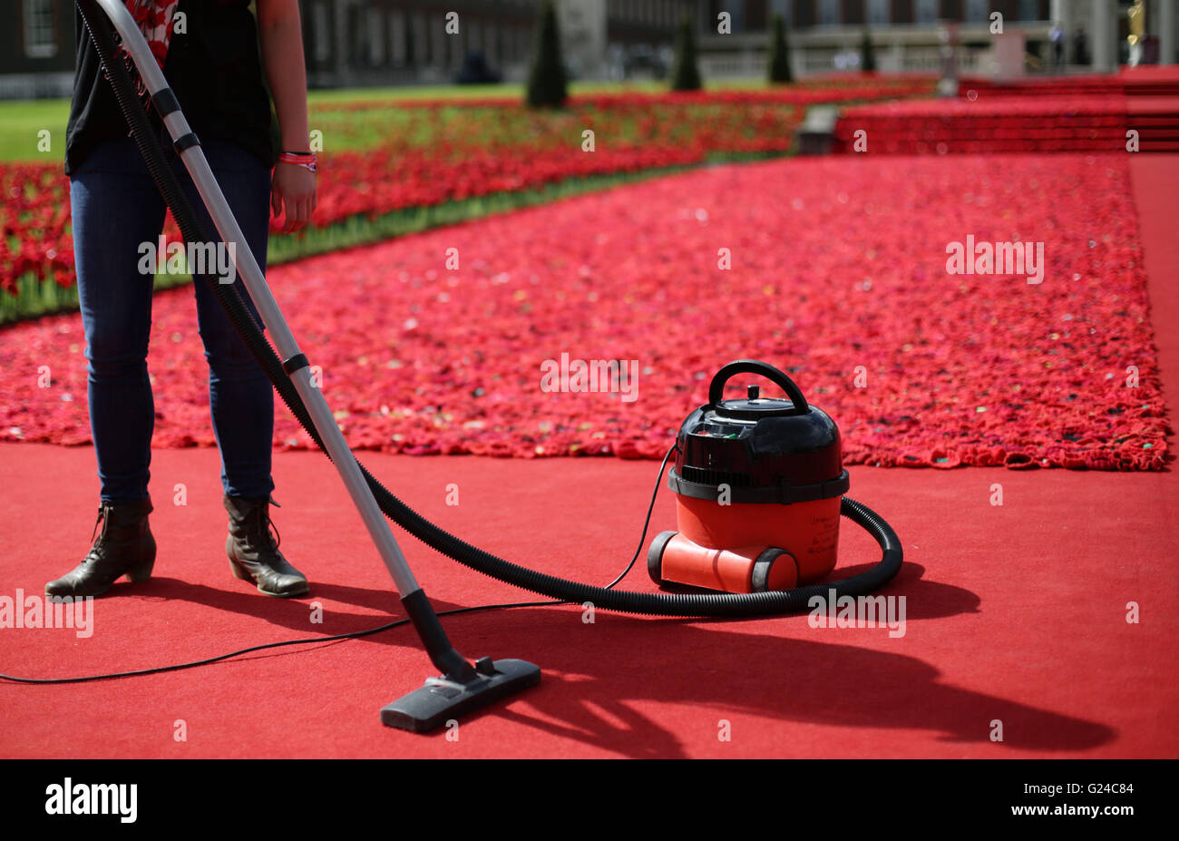 A Henry vacuum cleaner is used to clean the carpet of the 5000 Poppies exhibit - which uses almost 300,000 individually crocheted poppies, covering nearly 2,000sq m (21,000sq ft) in the grounds of the Royal Hospital Chelsea - ahead of the visit by the Royal family on the press day of the Chelsea Flower Show, Royal Hospital Chelsea, London. Stock Photo