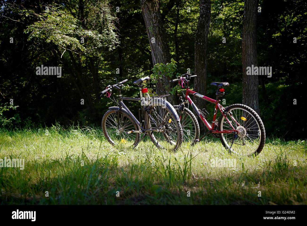 Bikes stand in front hi-res stock photography and images - Alamy