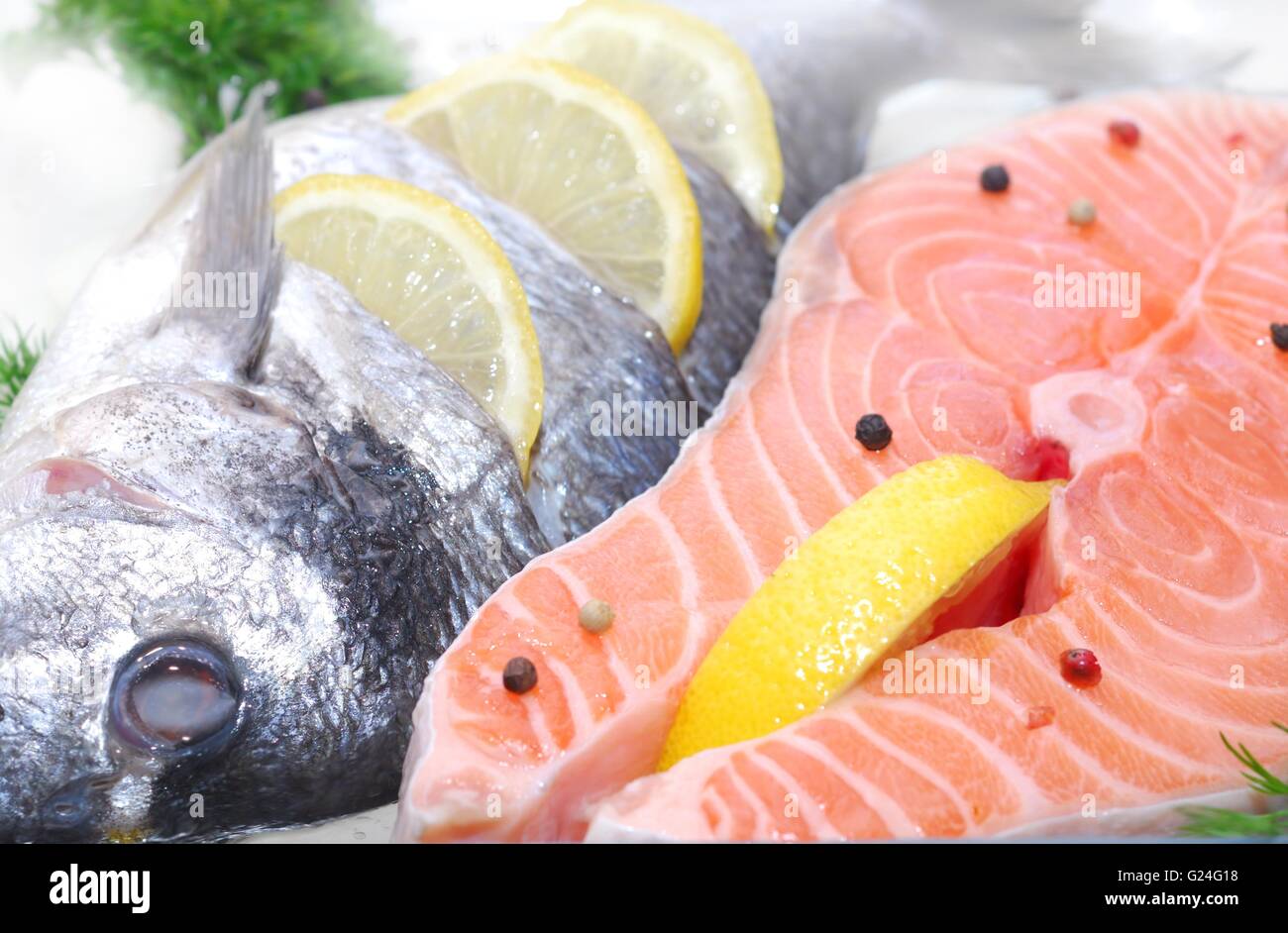 fillet salmon fish freezing Stock Photo Alamy