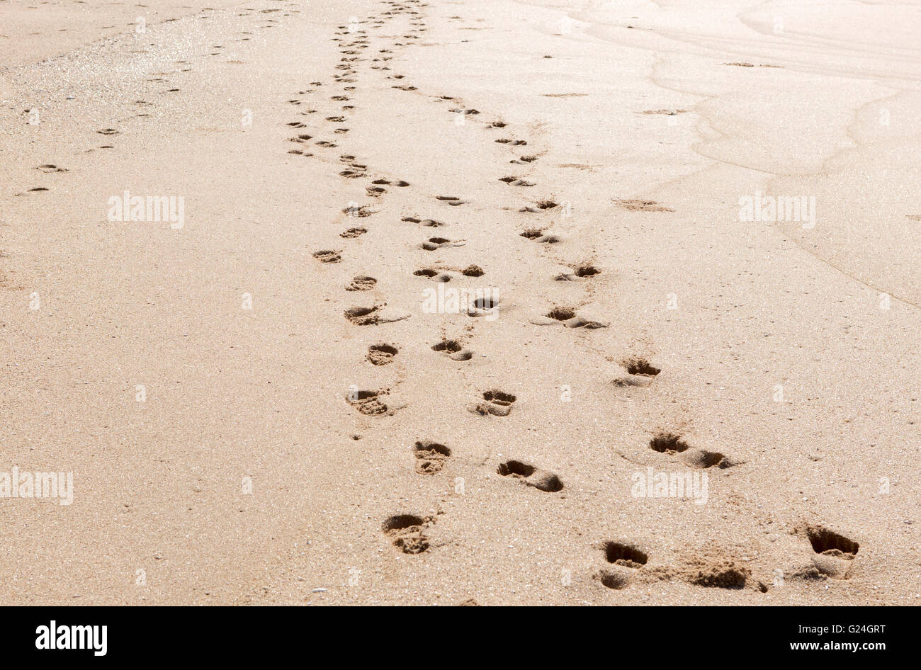 Sri Lanka , Tangalle.  Foot steps on a beach Stock Photo