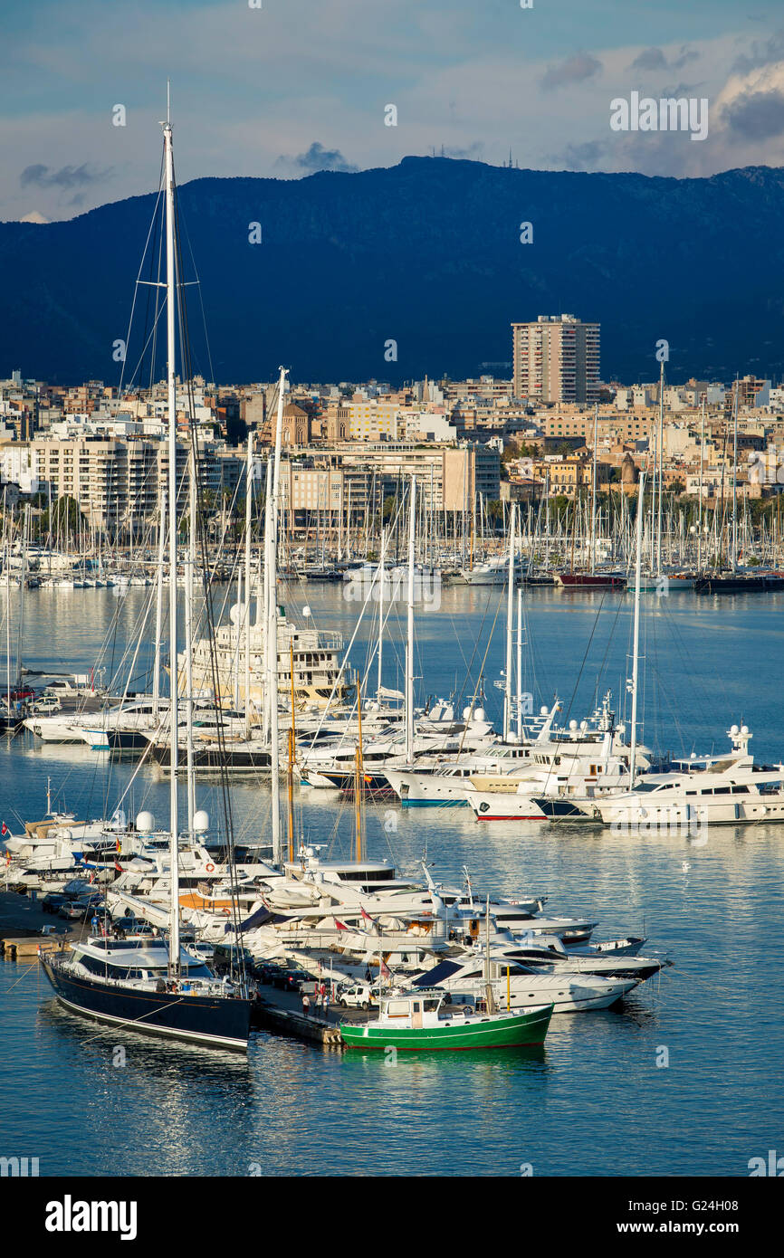 Boats in the marina below the city of Palma de Mallorca, Spain Stock Photo