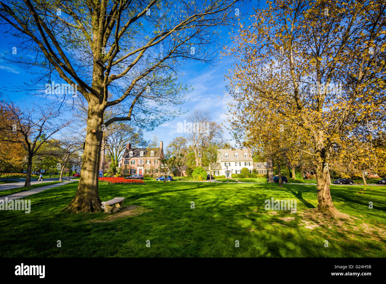 Trees at Sherwood Gardens Park, in Baltimore, Maryland Stock Photo Alamy