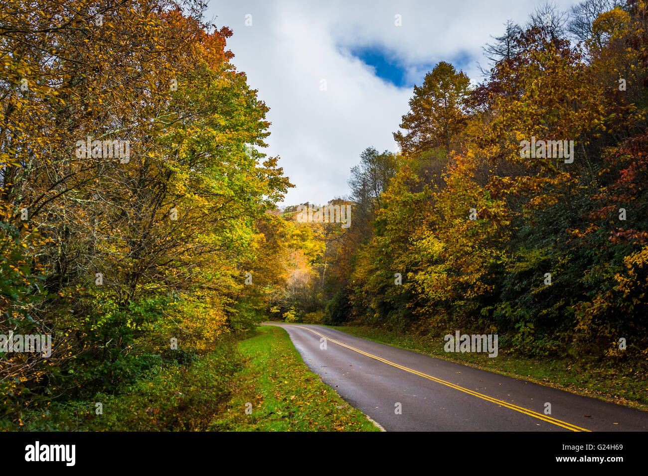 Autumn color along the Blue Ridge Parkway, near Blowing Rock, North Carolina. Stock Photo