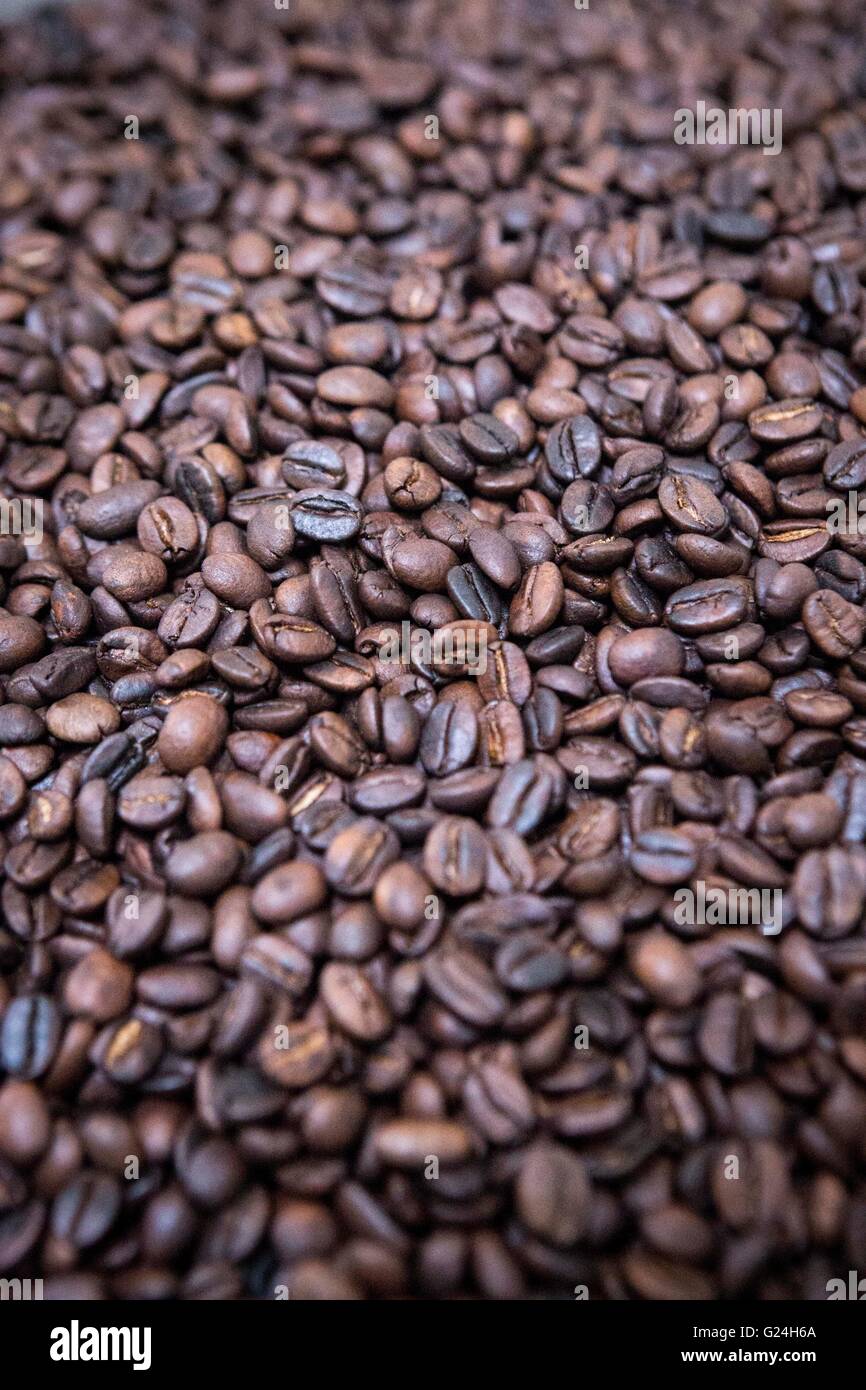 coffee beans in Sri Lanka Stock Photo Alamy