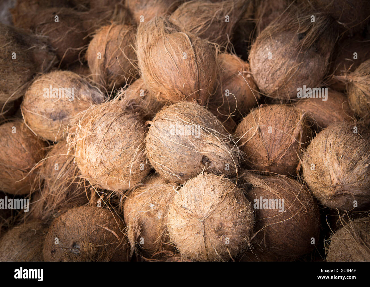 Coco sri lanka hires stock photography and images Alamy