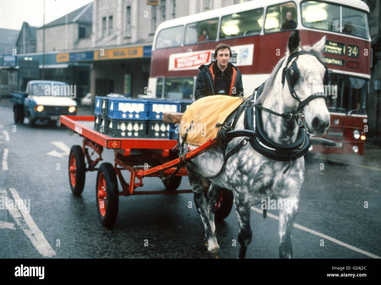 Patch, the last milk delivery horse in Edinburgh, on his last day of work for Scotmid co-op Fountainbridge. Stock Photo