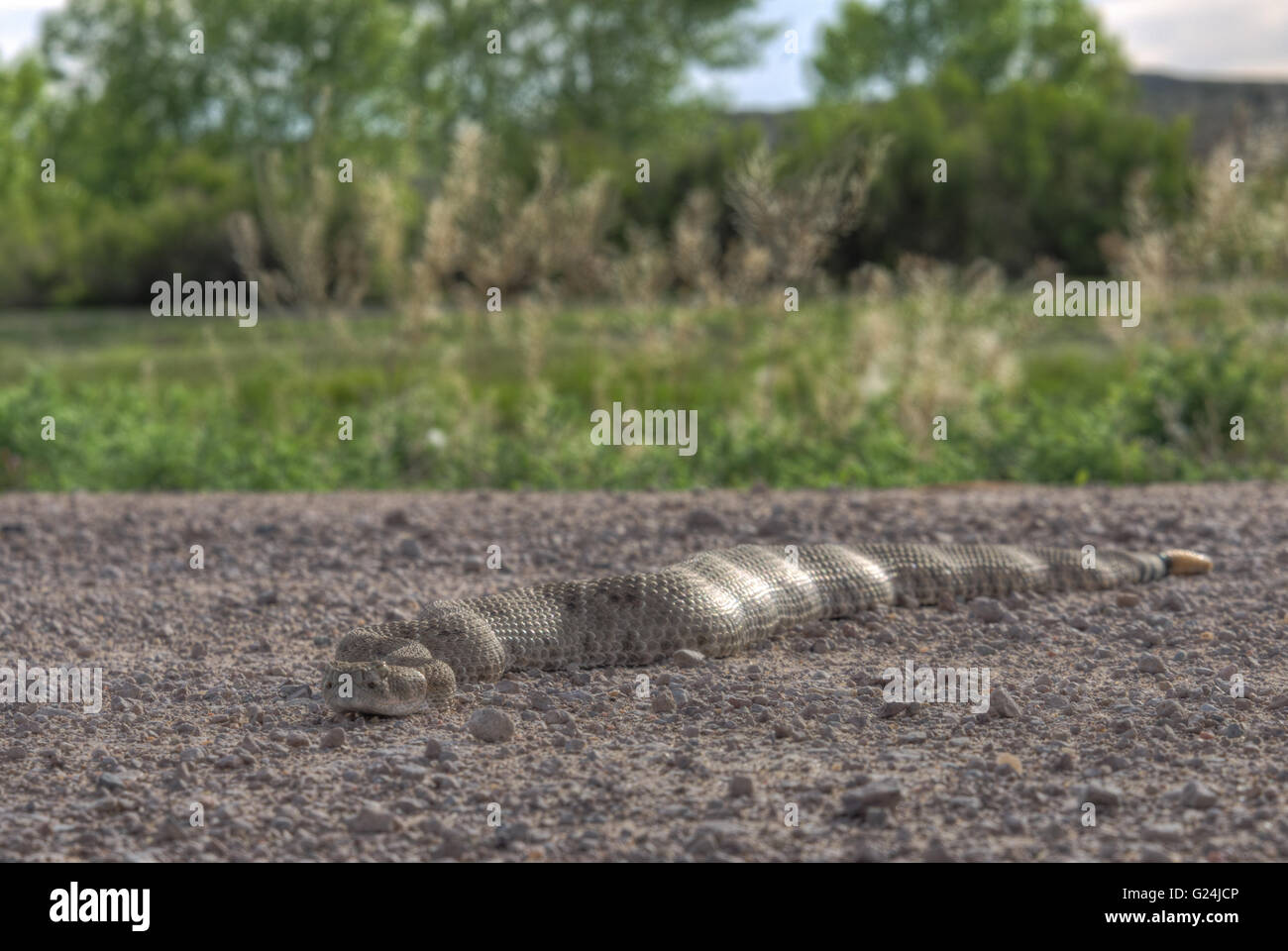 Diamond crossing hires stock photography and images Alamy