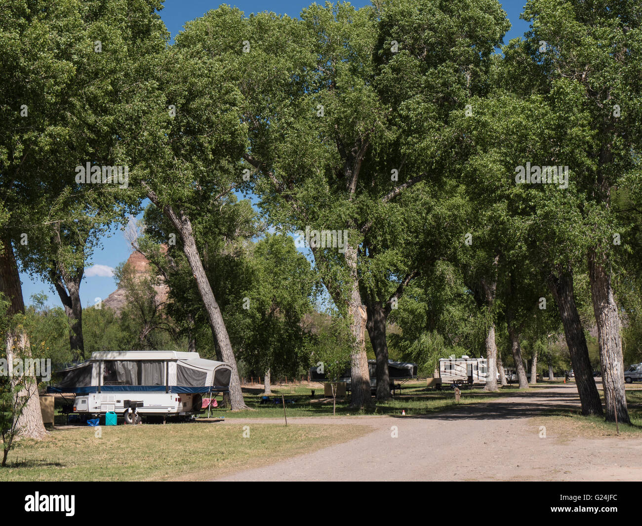 Cottonwood Campground, Big Bend National Park, Texas Stock Photo Alamy