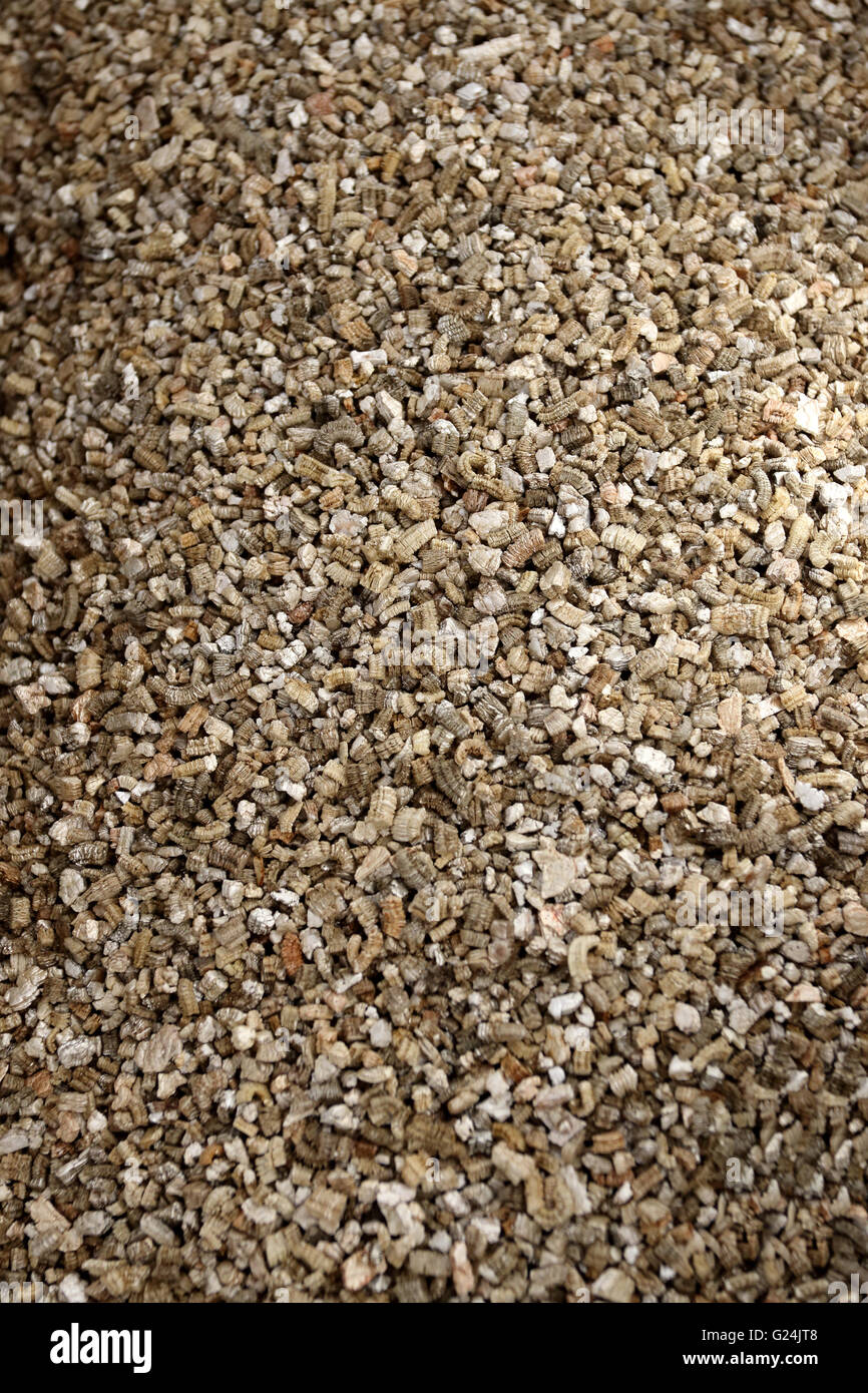 Vermiculite - used in potting soils and grow mixes Stock Photo