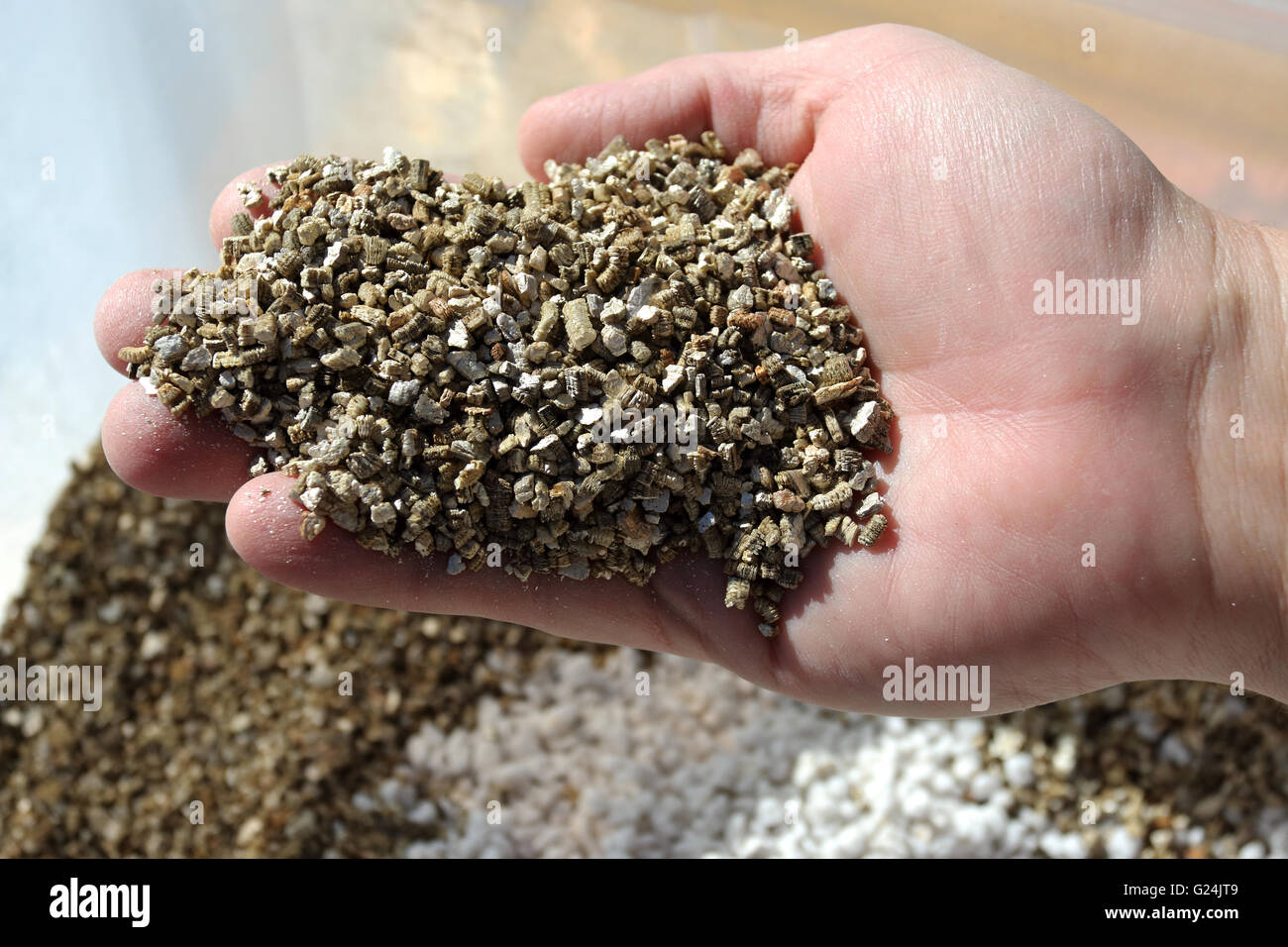 Close up of Vermiculite used in pot plants like hydroponics Stock