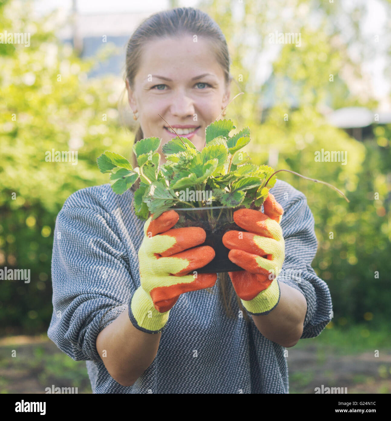 young woman gardener with plants Stock Photo - Alamy