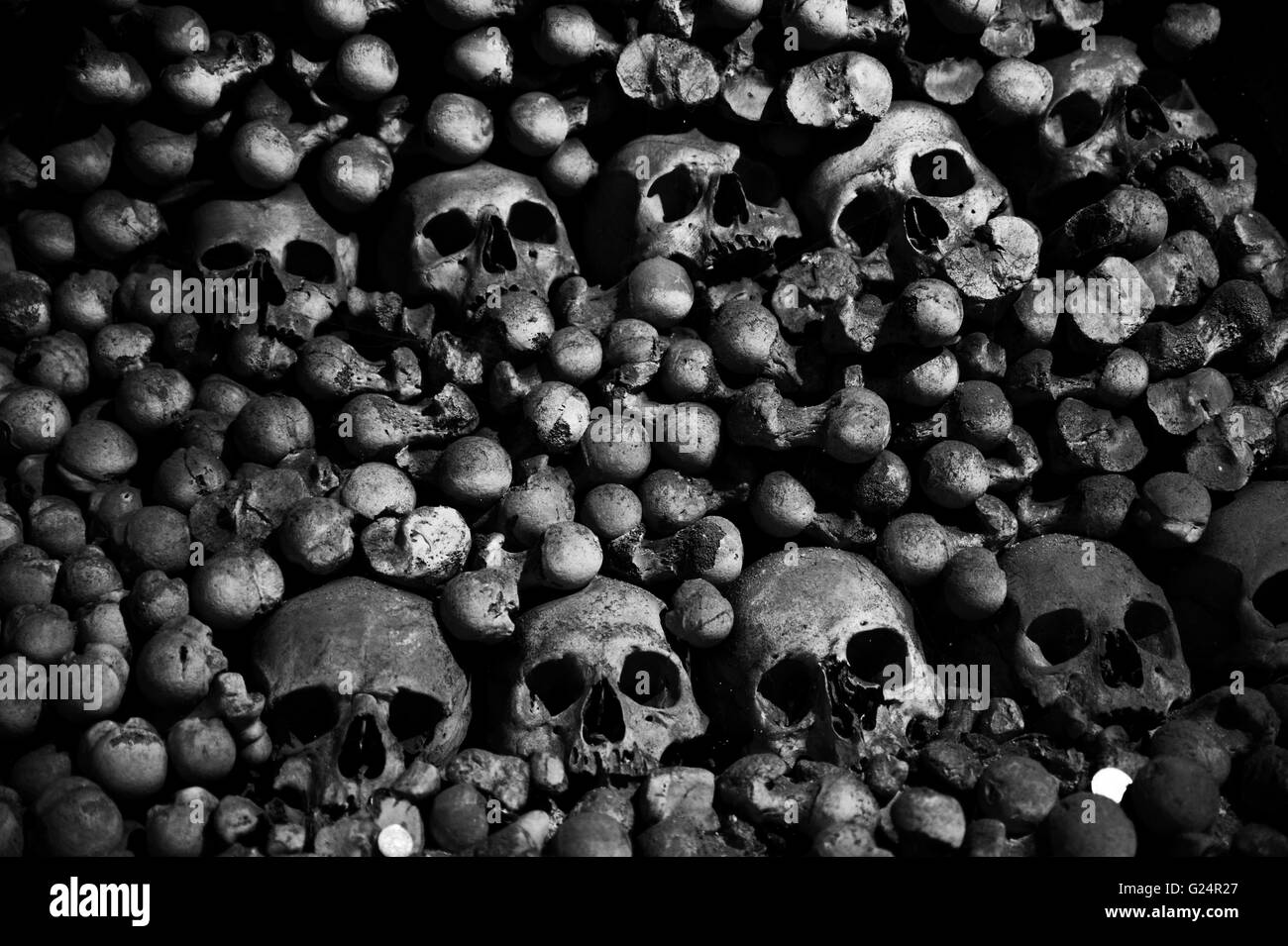 crazy scary collection of skull and bones Stock Photo