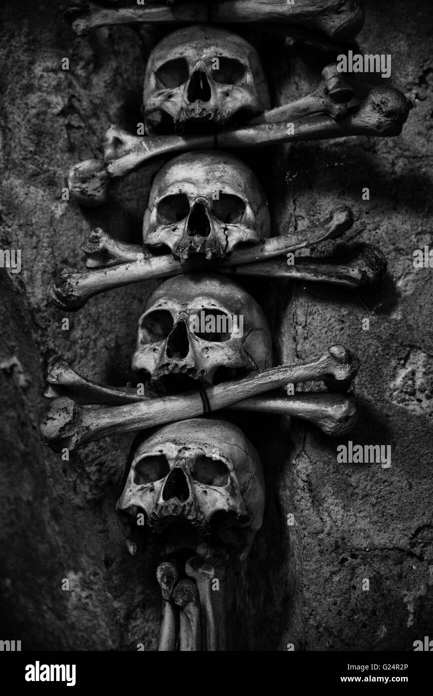 crazy scary collection of skull and bones Stock Photo