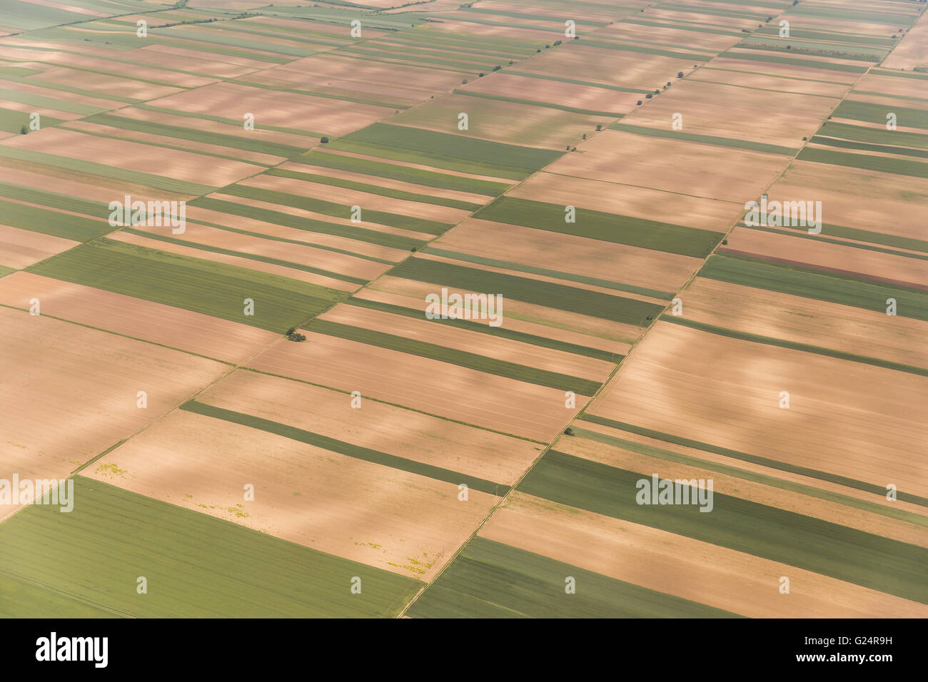 Aerial view of a green rural area in Vojvodina Stock Photo