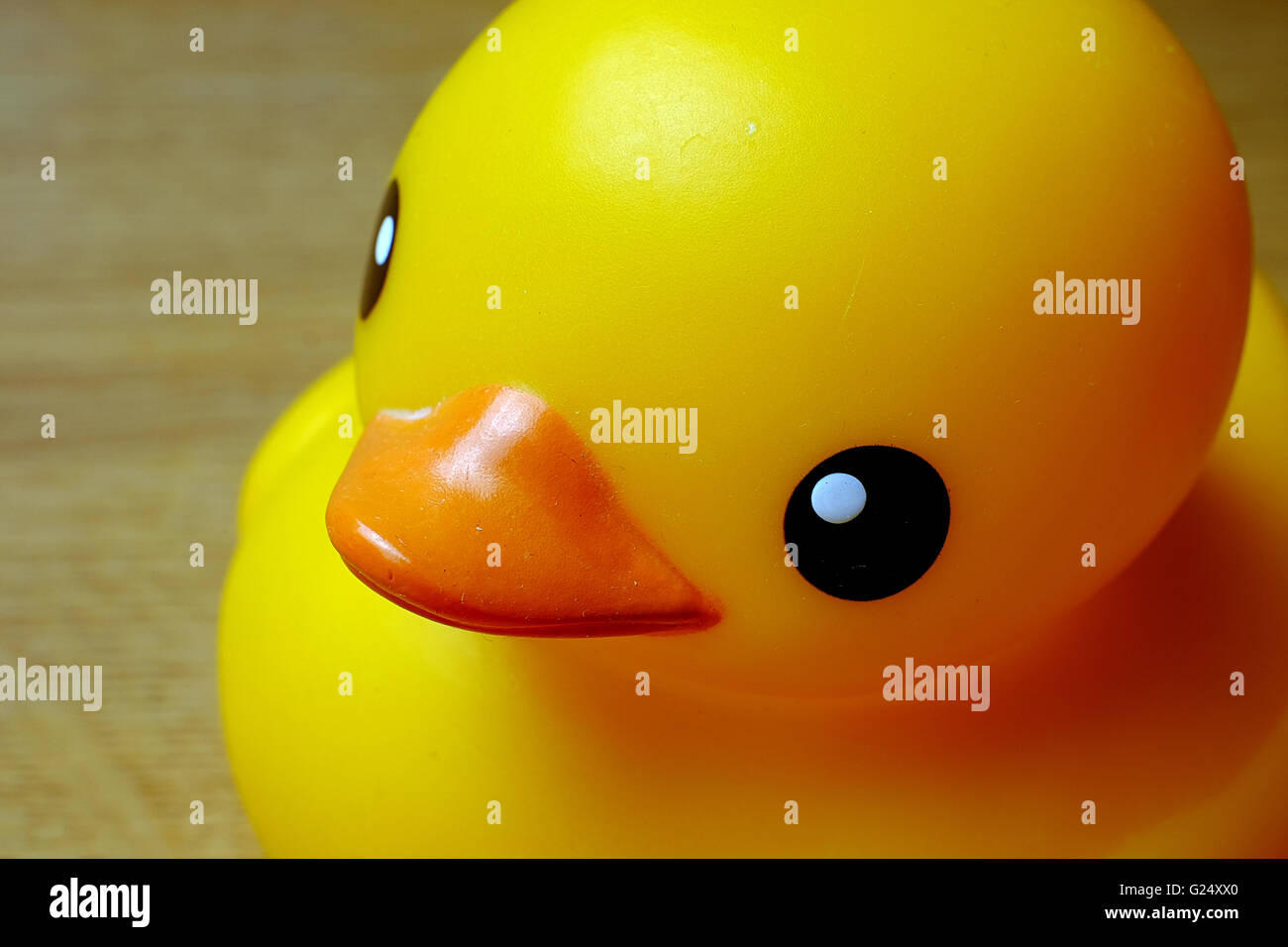 A yellow rubber duck Stock Photo