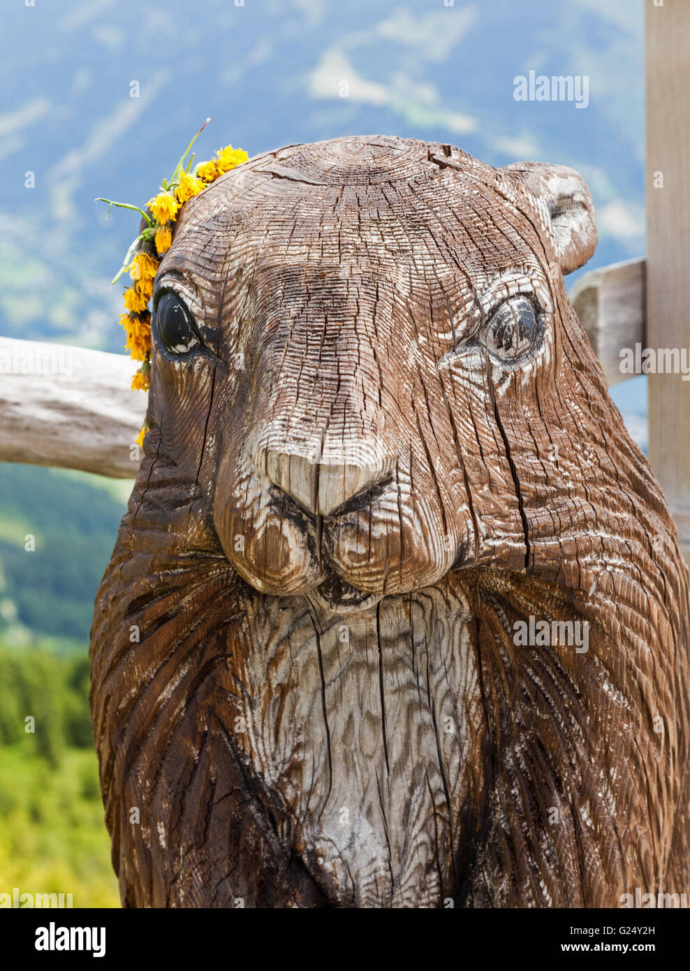 A carving of a wooden Marmot with a garland of daisies on the Schmitten mountain or Schmittenhohe Zell am See Austria Europe Stock Photo