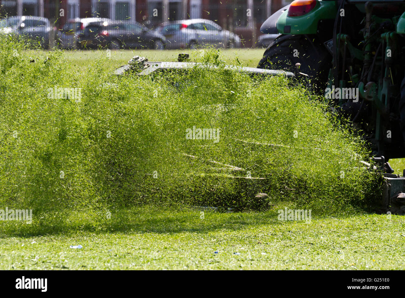 Grass cutting and clippings in Fleetwood, Thorton-Cleveleys, Flyde Coast, Lancashire, UK Stock Photo
