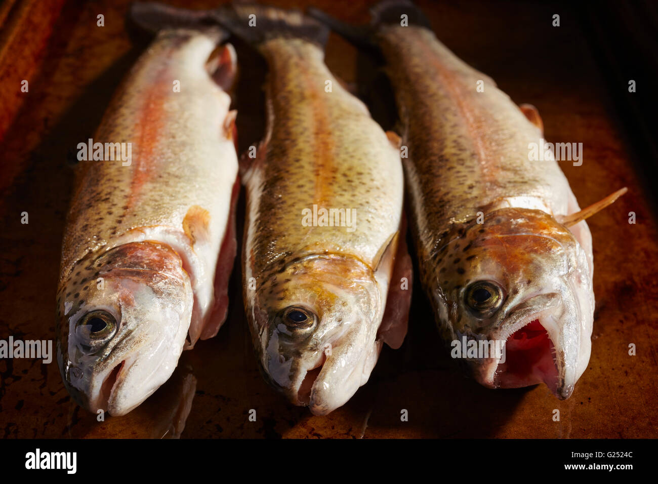 Cod Fish In Tagalog Cheapest Clearance www.gbupresnenskij.ru