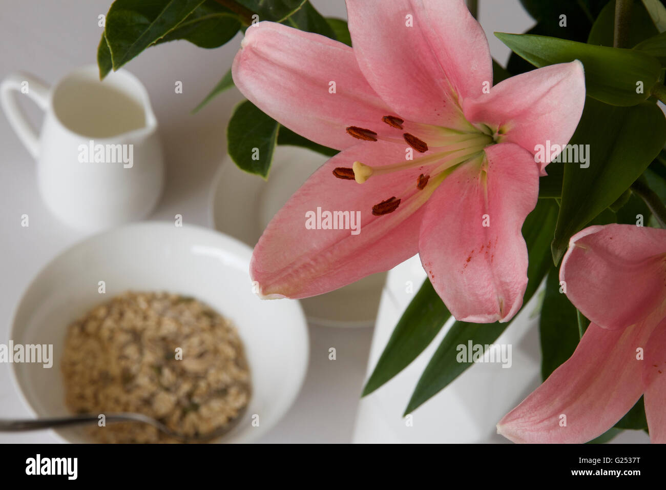 Fresh lily at breakfast. Stock Photo