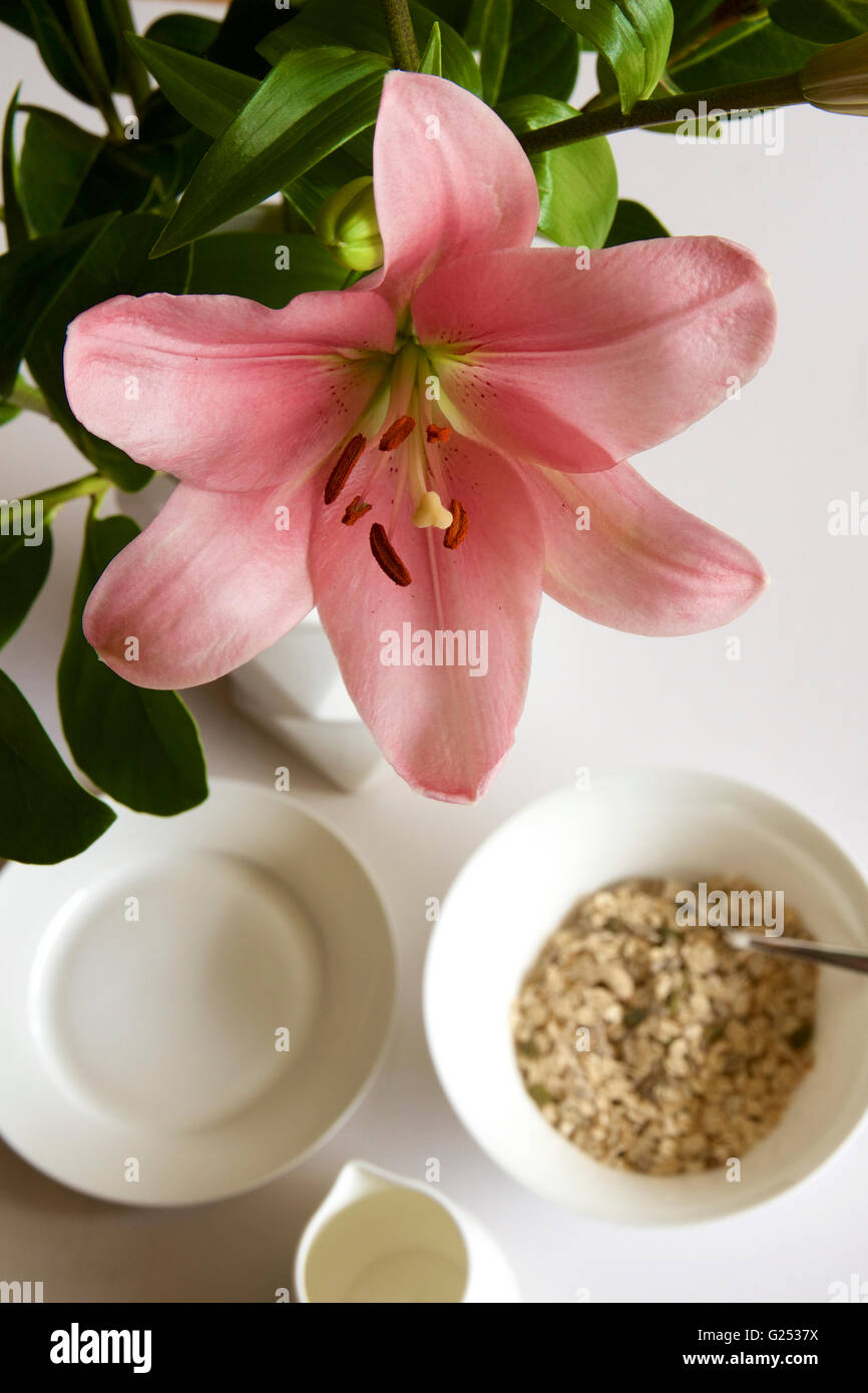 Pink lily on the breakfast table. Stock Photo