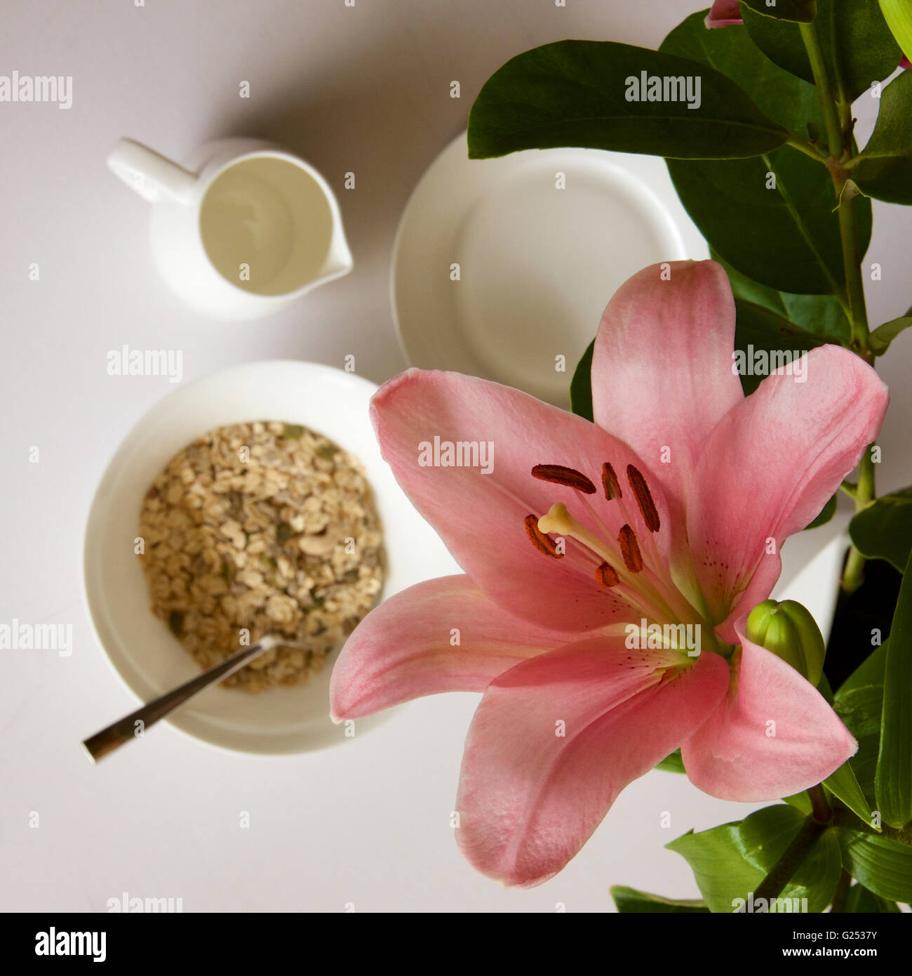 Pink lily at the breakfast table. Stock Photo