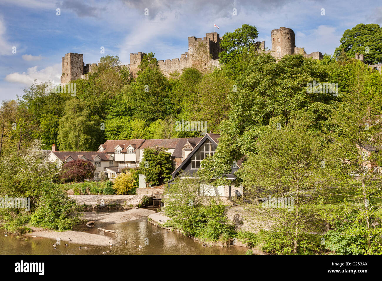 Ludlow Castle and the River Teme, Shropshire, England, UK Stock Photo